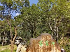-姑婆山旅游区