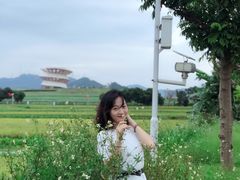-光明小镇欢乐田园