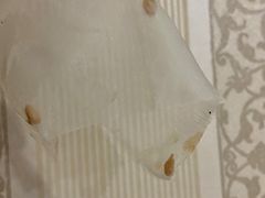 -CoCo都可(久隆店)