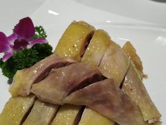 白切鸡-晶晶粤西特色美食(市桥店)