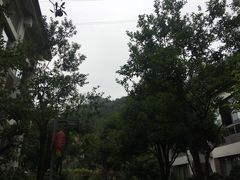 -老幺泉水鸡