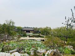 -上海滨江森林公园