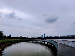 -海珠湖公园