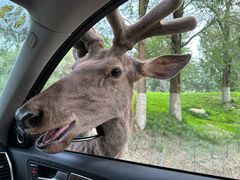 -北京野生动物园