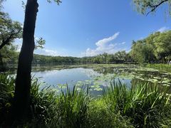 -承德避暑山庄景区