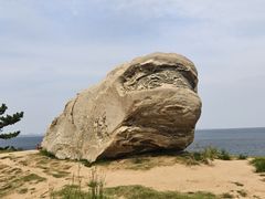 -养马岛旅游度假区