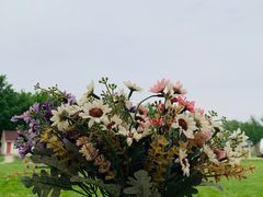 -天津武清北运河郊野公园房车露营地