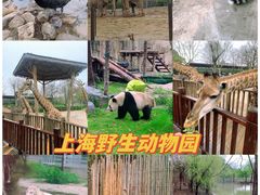 -上海野生动物园