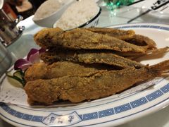 -老雒阳面馆·水席(洛宁高速路口店)