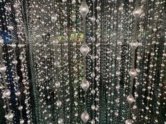 -深圳独角兽星空艺术馆