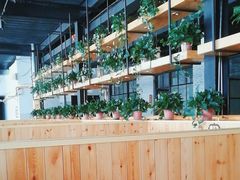 -桃源村铁锅炖鱼(体育馆道店)
