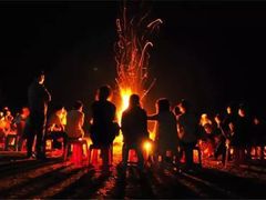 -崇明东平国家森林公园烧烤房车露营地