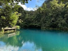 -黔灵山公园