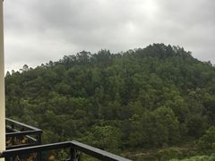 -金茂园大酒店