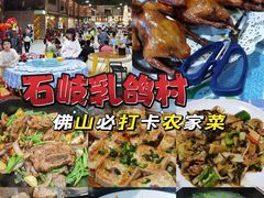 -石岐乳鸽村(南海第三分店)