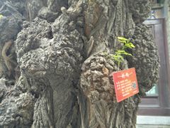 -迎泽公园