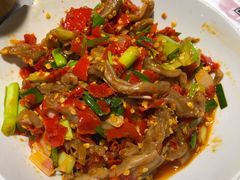 鸭掌筋-壹盏灯(惠农店)