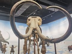 -辽宁古生物博物馆