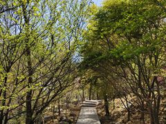 -崂山巨峰游览区