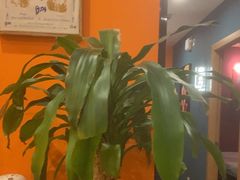 -Together·泰式按摩精油SPA(天山店)