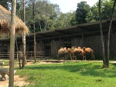 -富国岛珍珠游乐园
