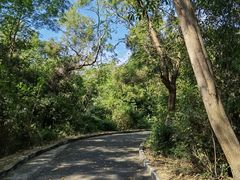 -燕晗山郊野公园