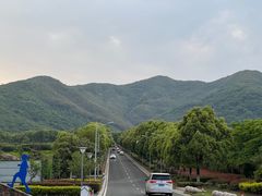 -周震馄饨