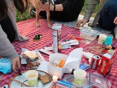 -栖露营camping·天幕烧烤·团建拓展·采摘营地