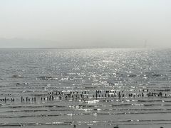 -深圳湾公园(南山区)