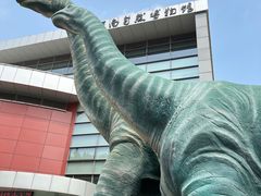 -河南自然博物馆