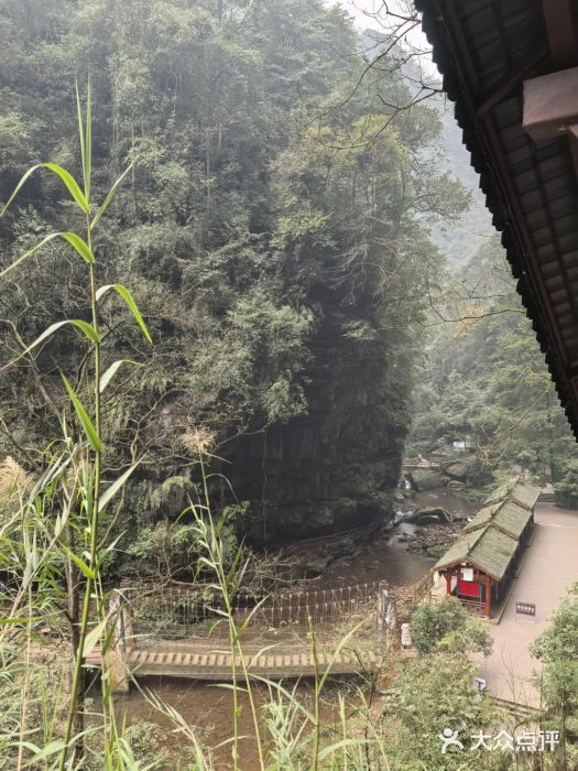 碧峰峡风景区图片