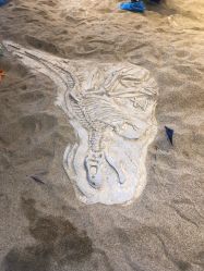 -恐龙探索乐园(磁器口店)