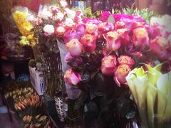 -双季花艺园艺市场(浦东店)