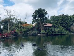-海南热带野生动植物园