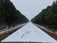 -秦始皇帝陵博物院-丽山园
