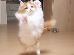 -顺华粉馆(桃园南路店)