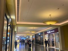 -澳门威尼斯人综合度假区