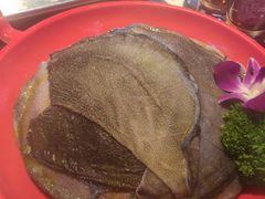 -二荆条·蜀鲜汇城市森林火锅