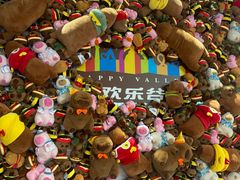 -成都欢乐谷