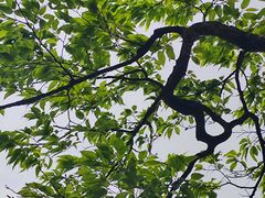 -萍乡武功山风景名胜区