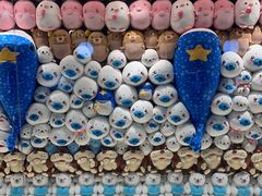-海合安青岛极地海洋公园