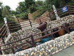 -仙岳公园