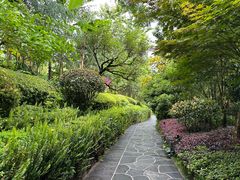 -腾冲洞山温泉村