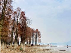 -四明湖