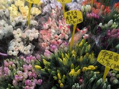 -循礼门鲜花花市(武汉循礼门店)