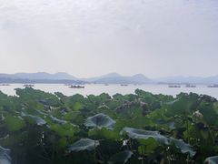 -湖畔居茶楼(湖滨店)