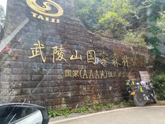 -武陵山森林公园
