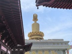 -兴隆文化园景区