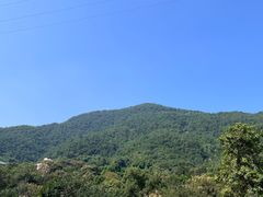 -洪霞餐馆