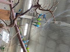 -南宫五洲植物乐园